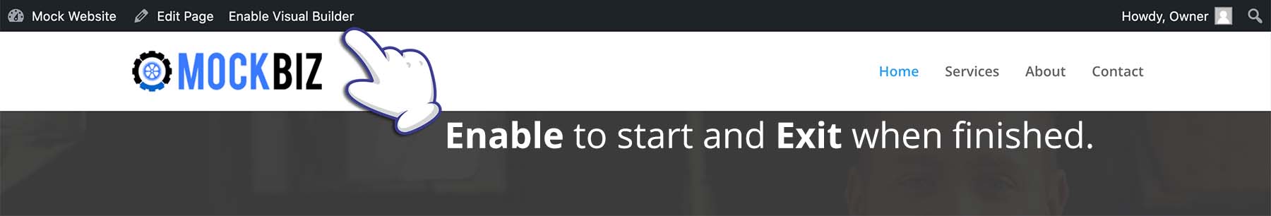 Enable Editor